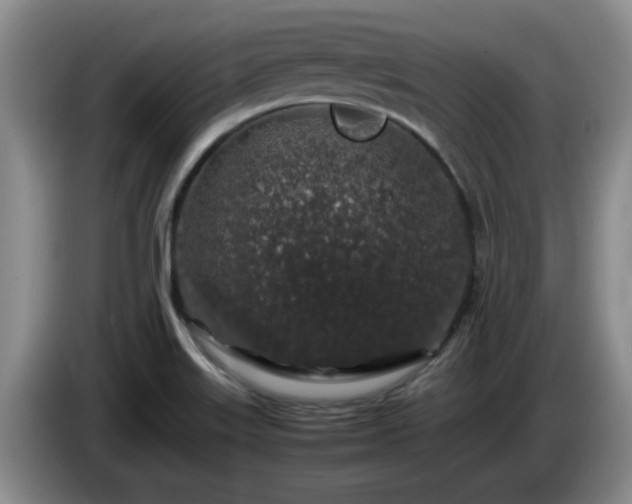 X0000085071515200703121631