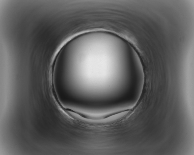 X0000085071516200703121631