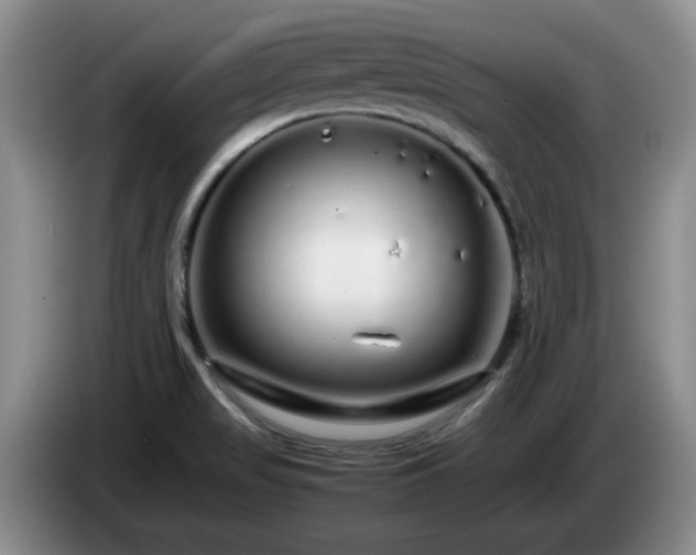 X0000085071517200703121631