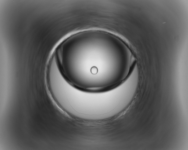 X0000085071518200703121631