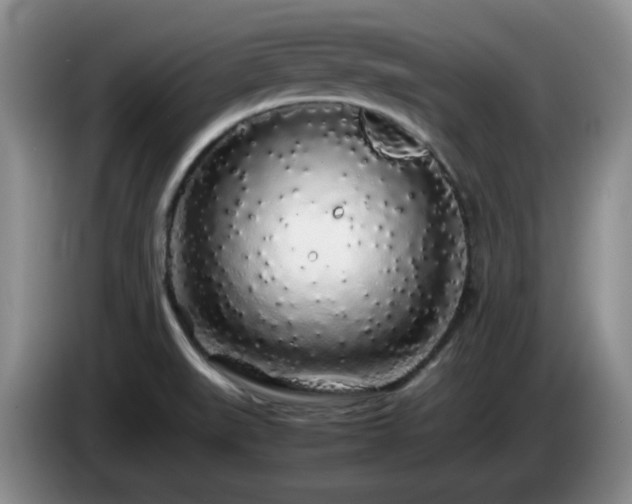 X0000085071519200703121631