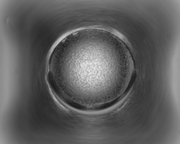 X0000085071520200703121631