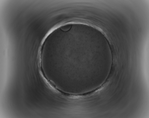 X0000085071522200703121631