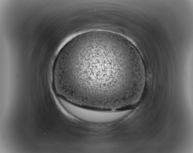 X0000085071523200703121631