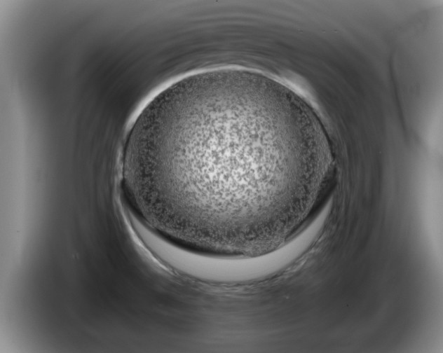 X0000085071524200703121631