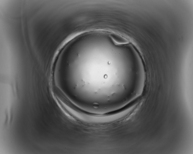 X0000085071525200703121631