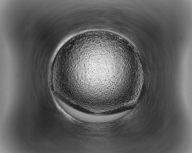 X0000085071527200703121631