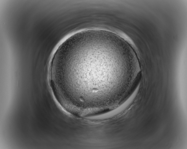 X0000085071528200703121631