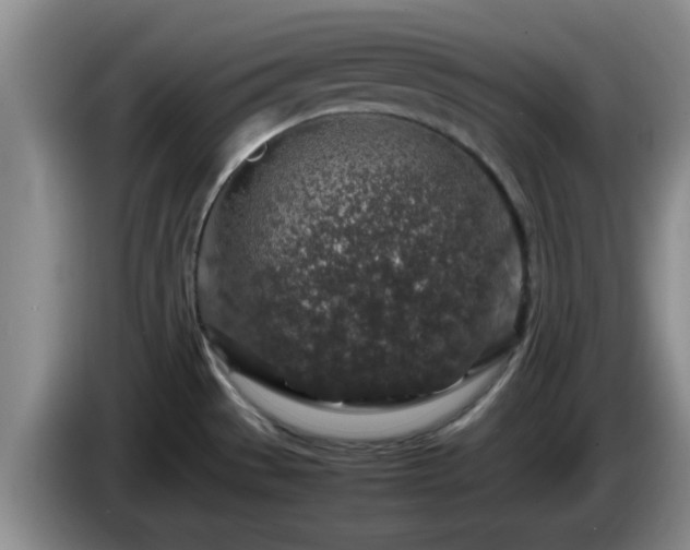 X0000085071529200703121631