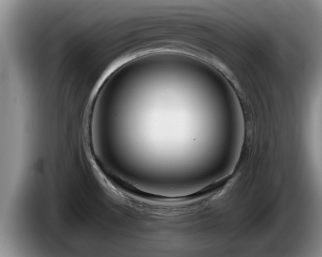 X0000085071530200703121631