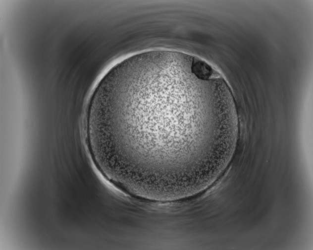 X0000085071531200703121631