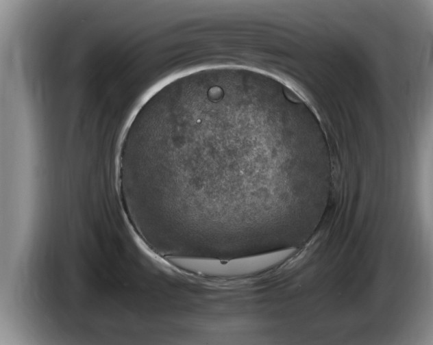 X0000085071535200703121631