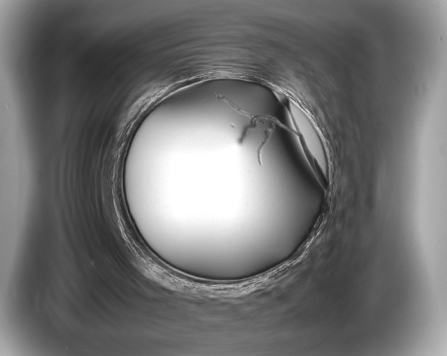 X0000085070001200703191312