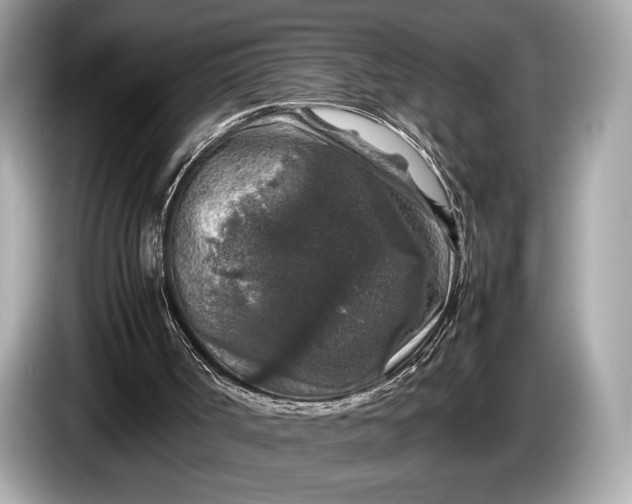 X0000085070002200703191312