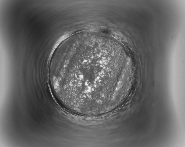 X0000085070003200703191312