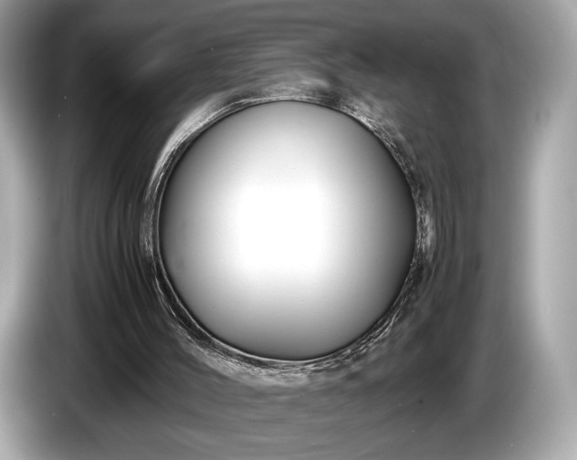 X0000085070004200703191312