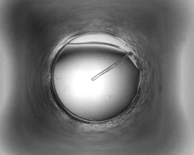 X0000085070005200703191312