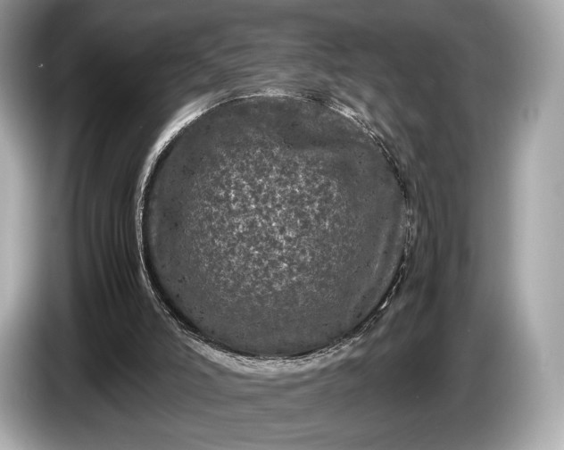 X0000085070006200703191312