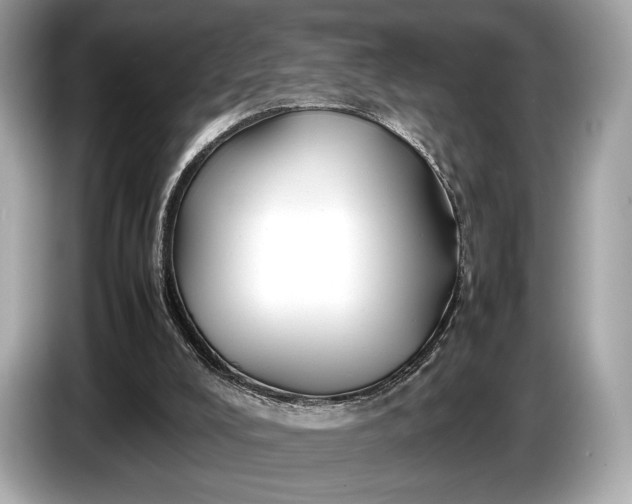 X0000085070008200703191312