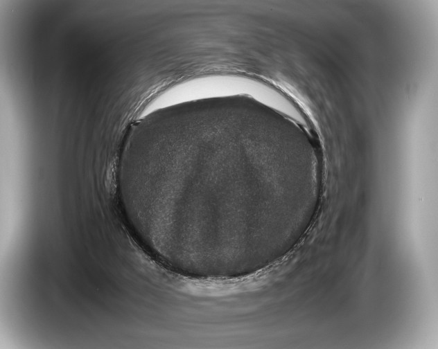 X0000085070009200703191312