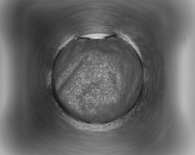 X0000085070010200703191311