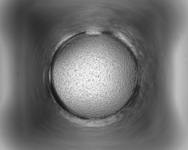 X0000085070011200703191311