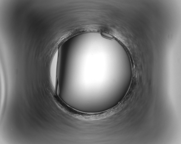 X0000085070013200703191311