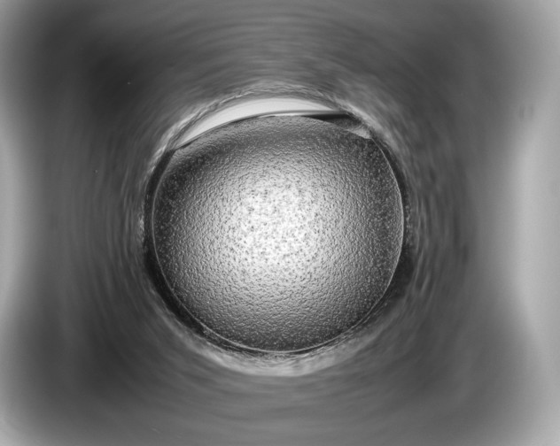 X0000085070015200703191311