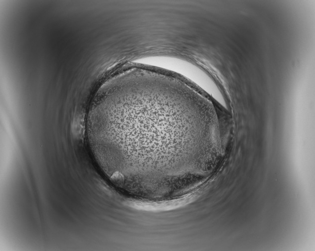 X0000085070017200703191311