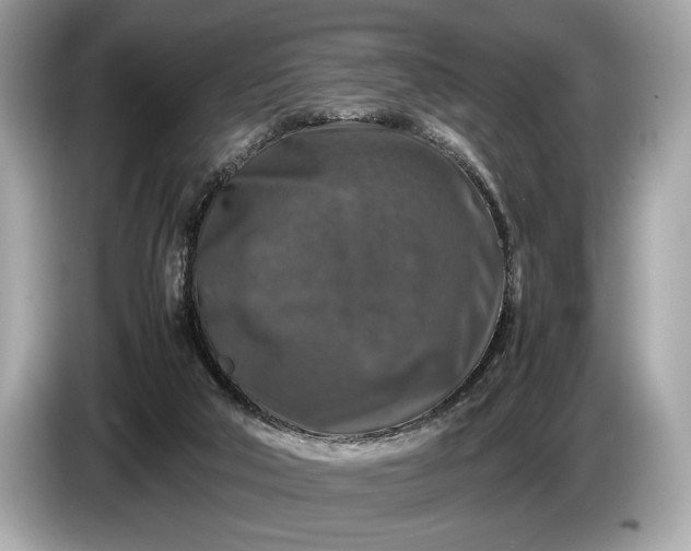 X0000085070018200703191311