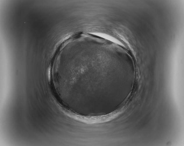 X0000085070019200703191311