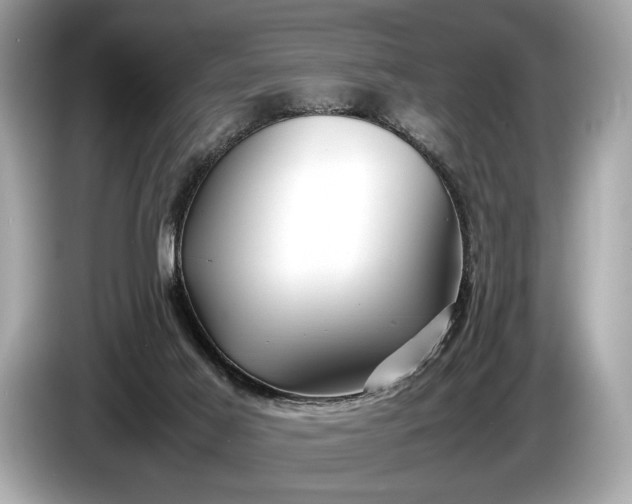 X0000085070021200703191311