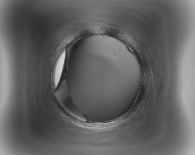 X0000085070023200703191311