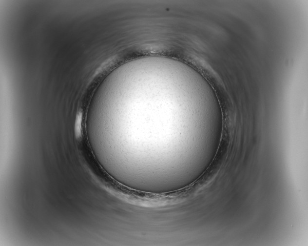 X0000085070024200703191311