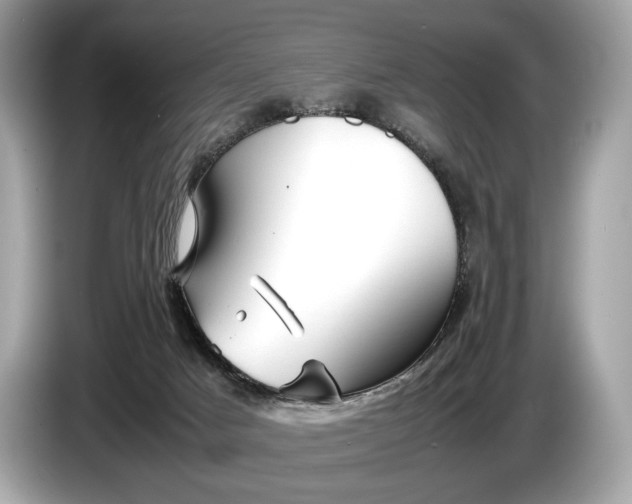 X0000085070025200703191311