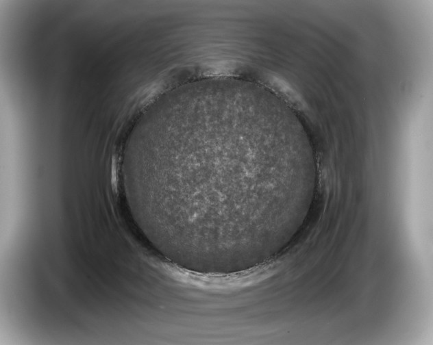 X0000085070026200703191311