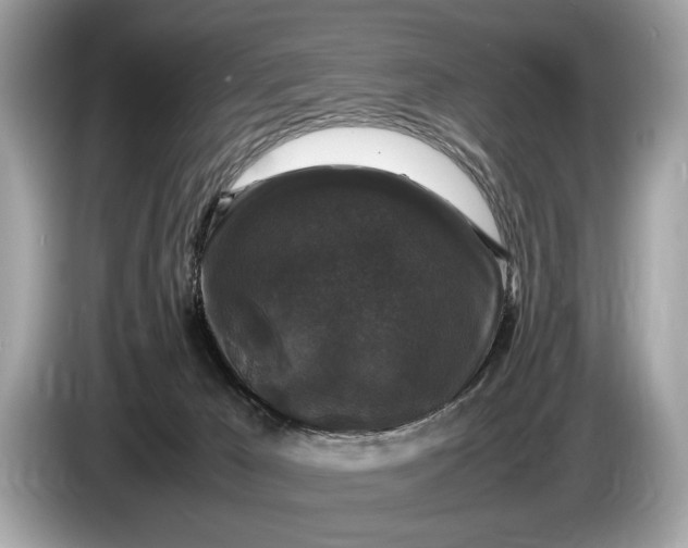 X0000085070029200703191311