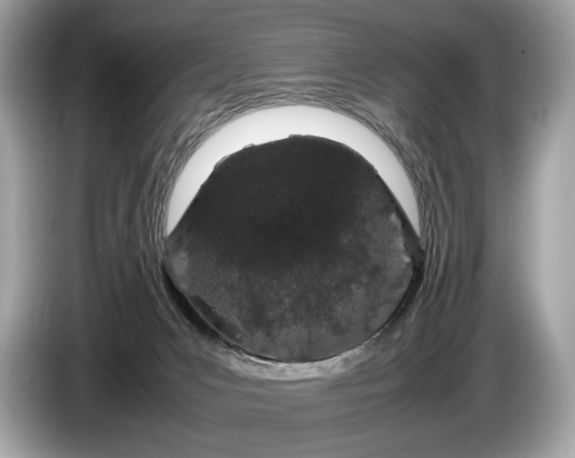 X0000085070031200703191311