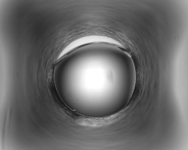 X0000085070033200703191311