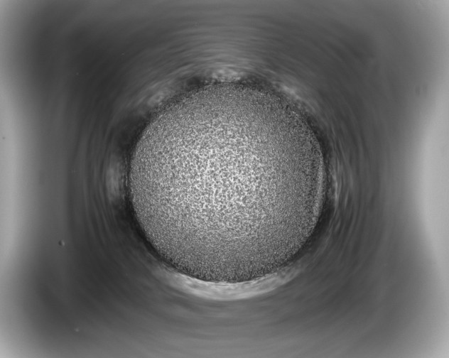 X0000085070034200703191311