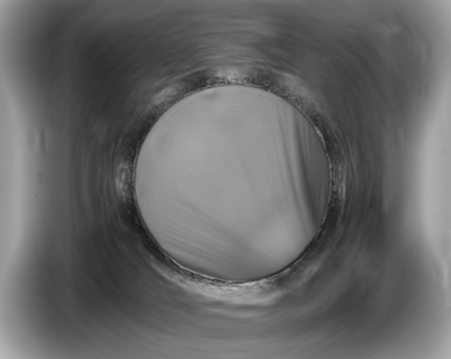 X0000085070036200703191311