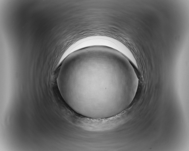 X0000085070037200703191311