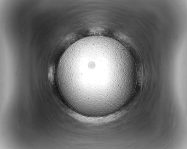 X0000085070038200703191311