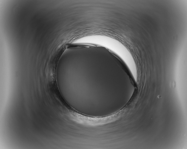 X0000085070039200703191311