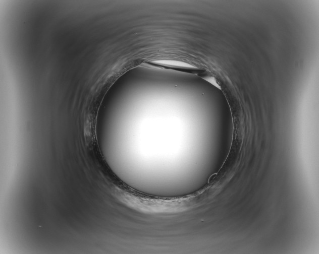 X0000085070044200703191311