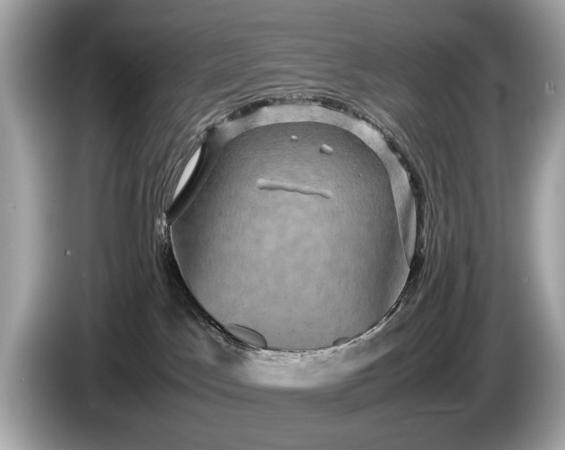 X0000085070045200703191311