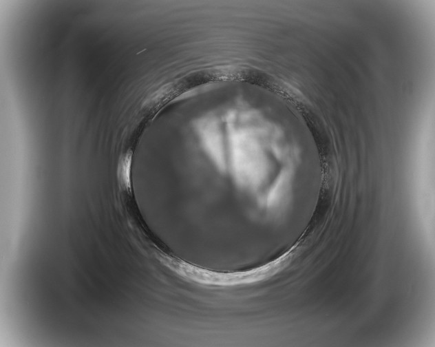 X0000085070047200703191311