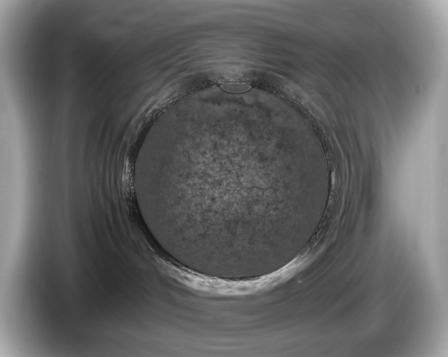 X0000085070048200703191311