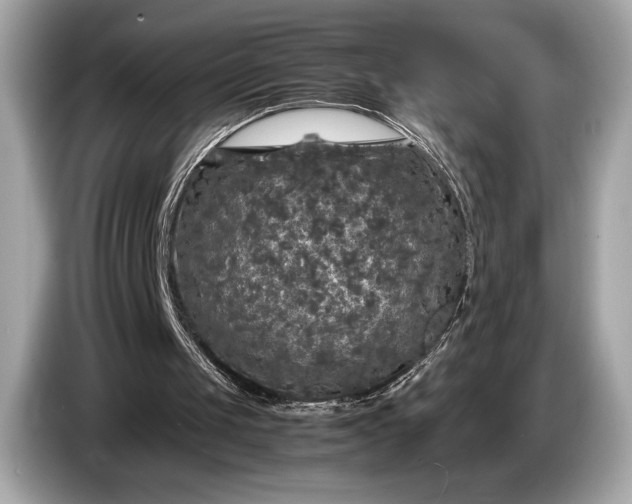 X0000085070049200703191310