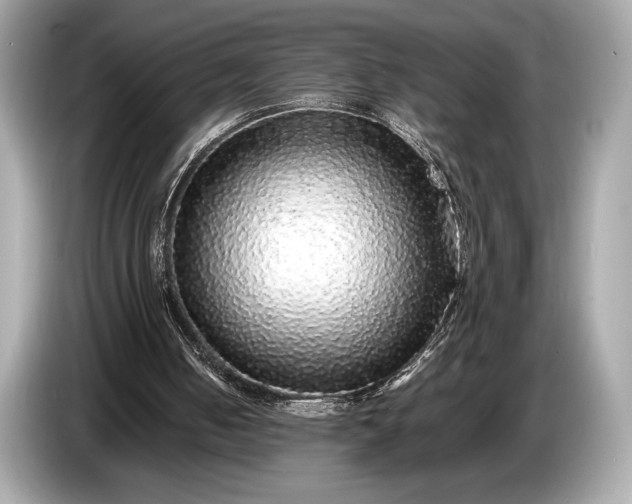 X0000085070050200703191310